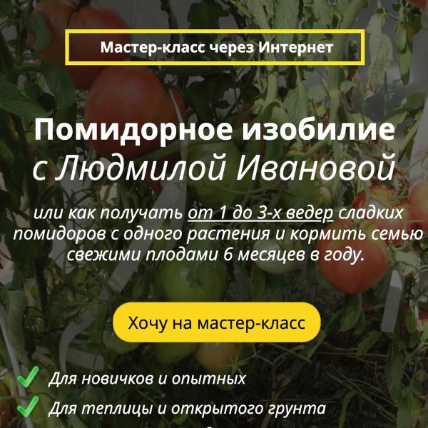 [Людмила Иванова] Помидорное изобилие (2021)_0.jpg